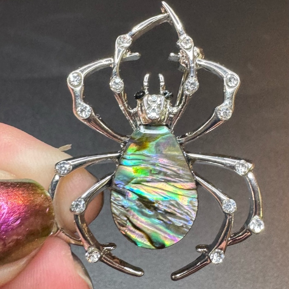 Abalone Shell Spider set in Stainless Steel Brooch/Necklace